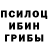 Галлюциногенные грибы Cubensis Asanova Seil