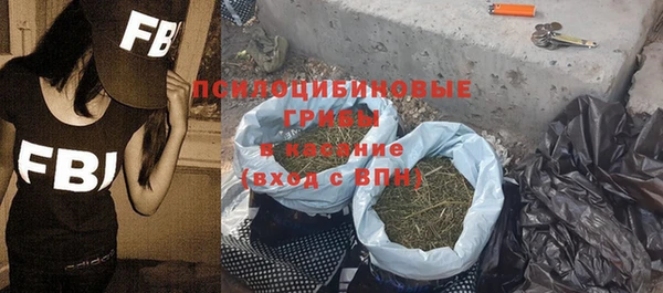 спайс Бородино