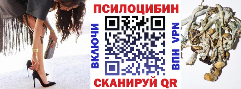 Псилоцибиновые грибы GOLDEN TEACHER  купить закладку  Энем 